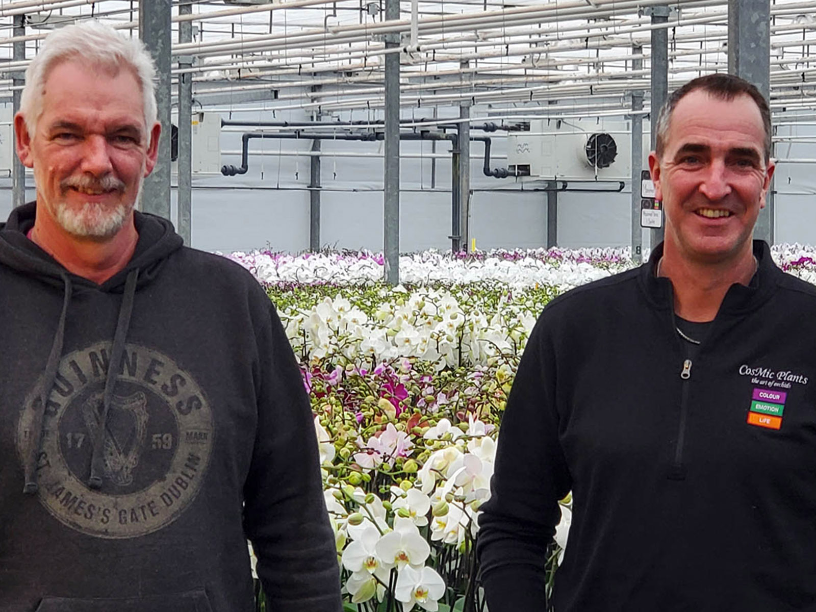 Cosmic Plants' Big Adventure of Growing Phalaenopsis in Canada Neil and Mike van Steekelenburg